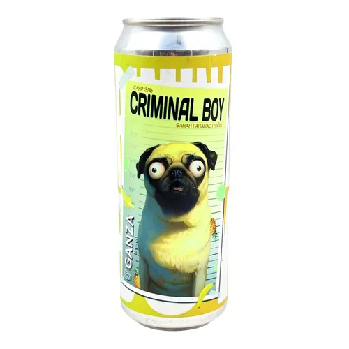 CRIMINAL BOY SMOOTHIE SOUR ALE